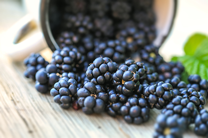 blackberreis health benefits picking season