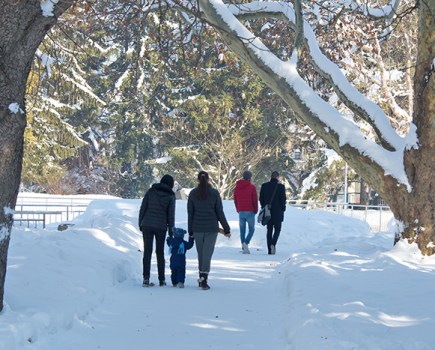 ‘Tis the season to take a stroll!