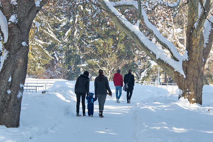 ‘Tis the season to take a stroll!