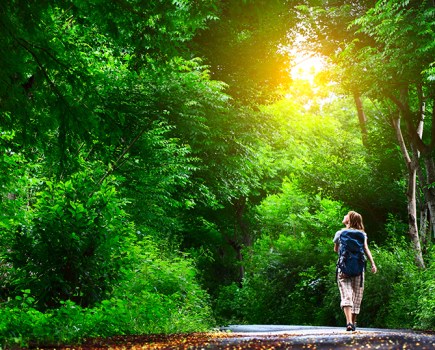 forest bathing