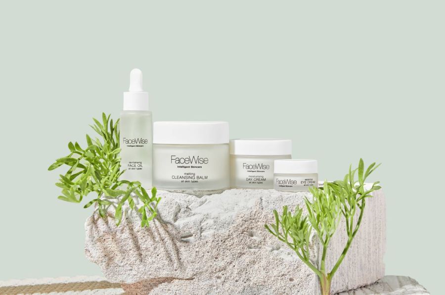 facewise skincare