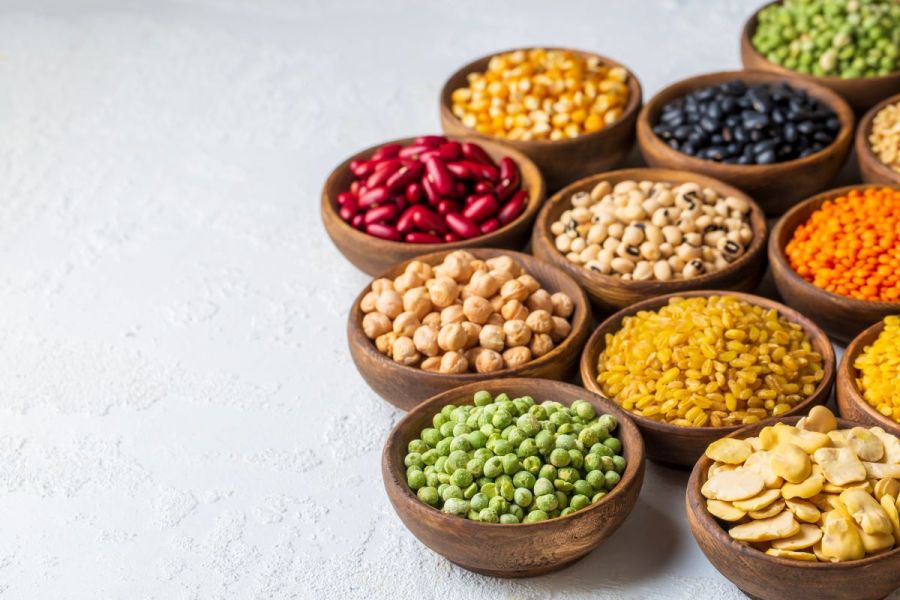 pulses beans legumes