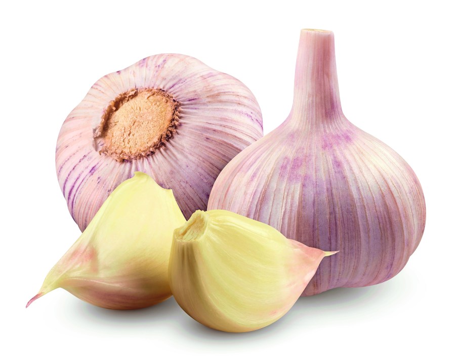 Two garlic and garlic cloves isolated on a white background.