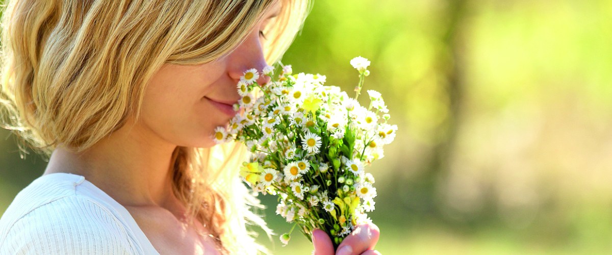 hay fever