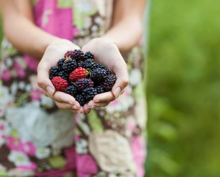 blackberries health benefits