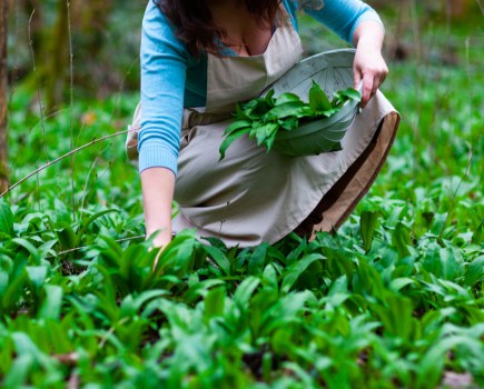 foraging
