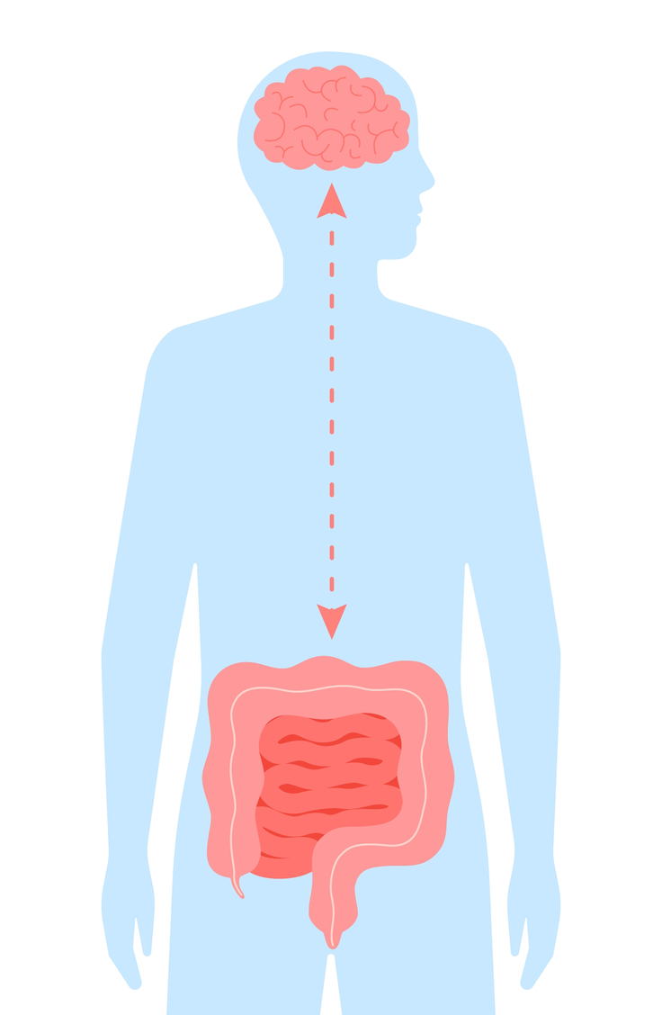 gut brain connections gut health and parkinson's disease