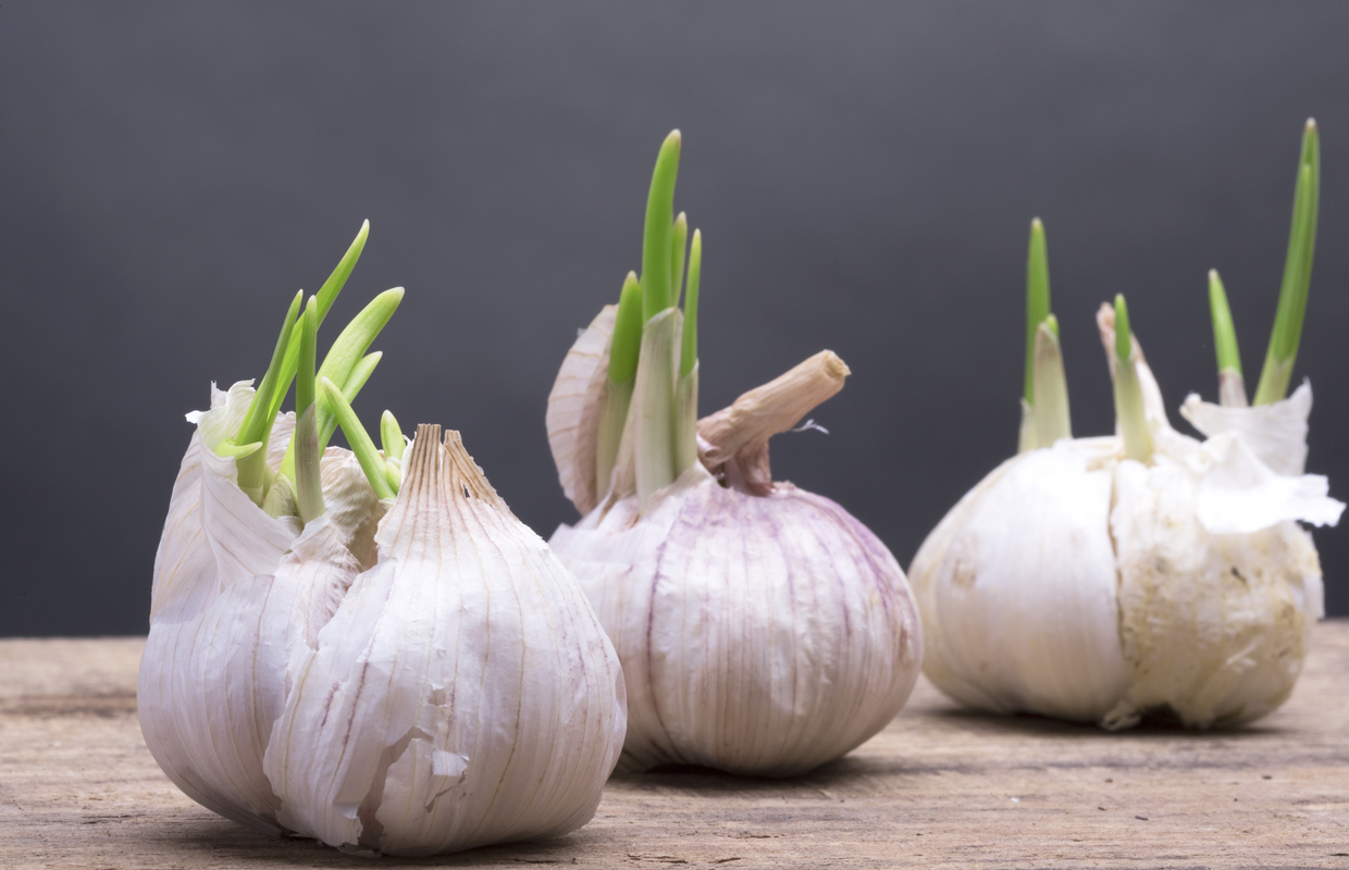 garlic heart health foods