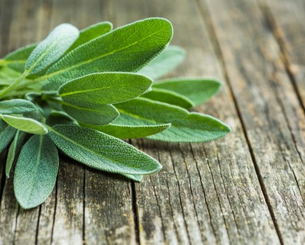 sage benefits menopause