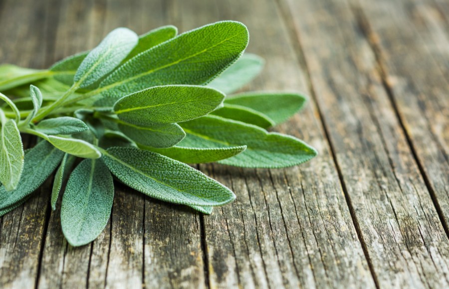 sage benefits menopause