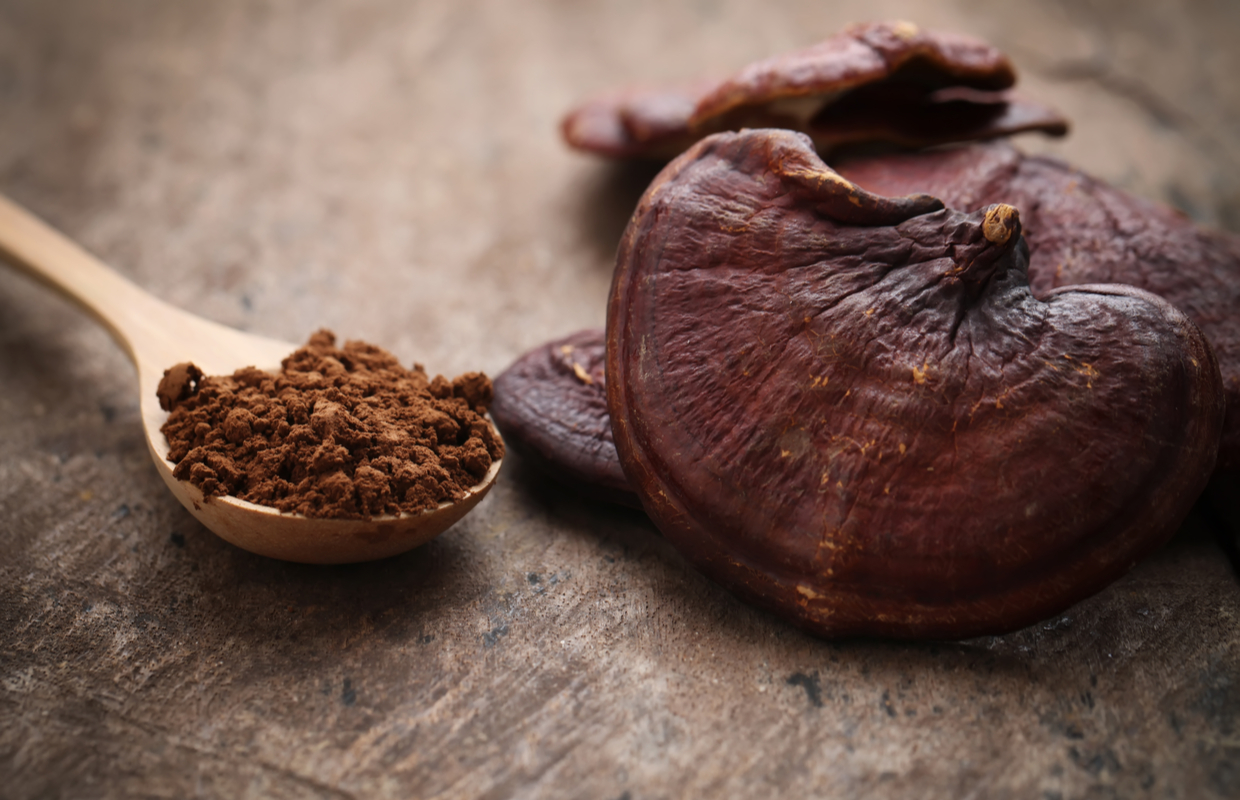 reishi mushroom skincare beauty trends 2022